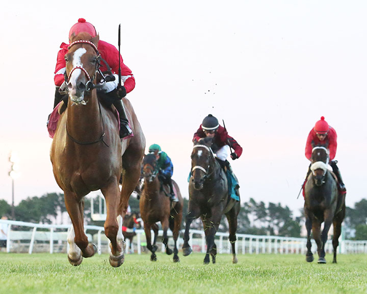 Hot Shot Kid wins the 2019 Minnesota Turf Stakes