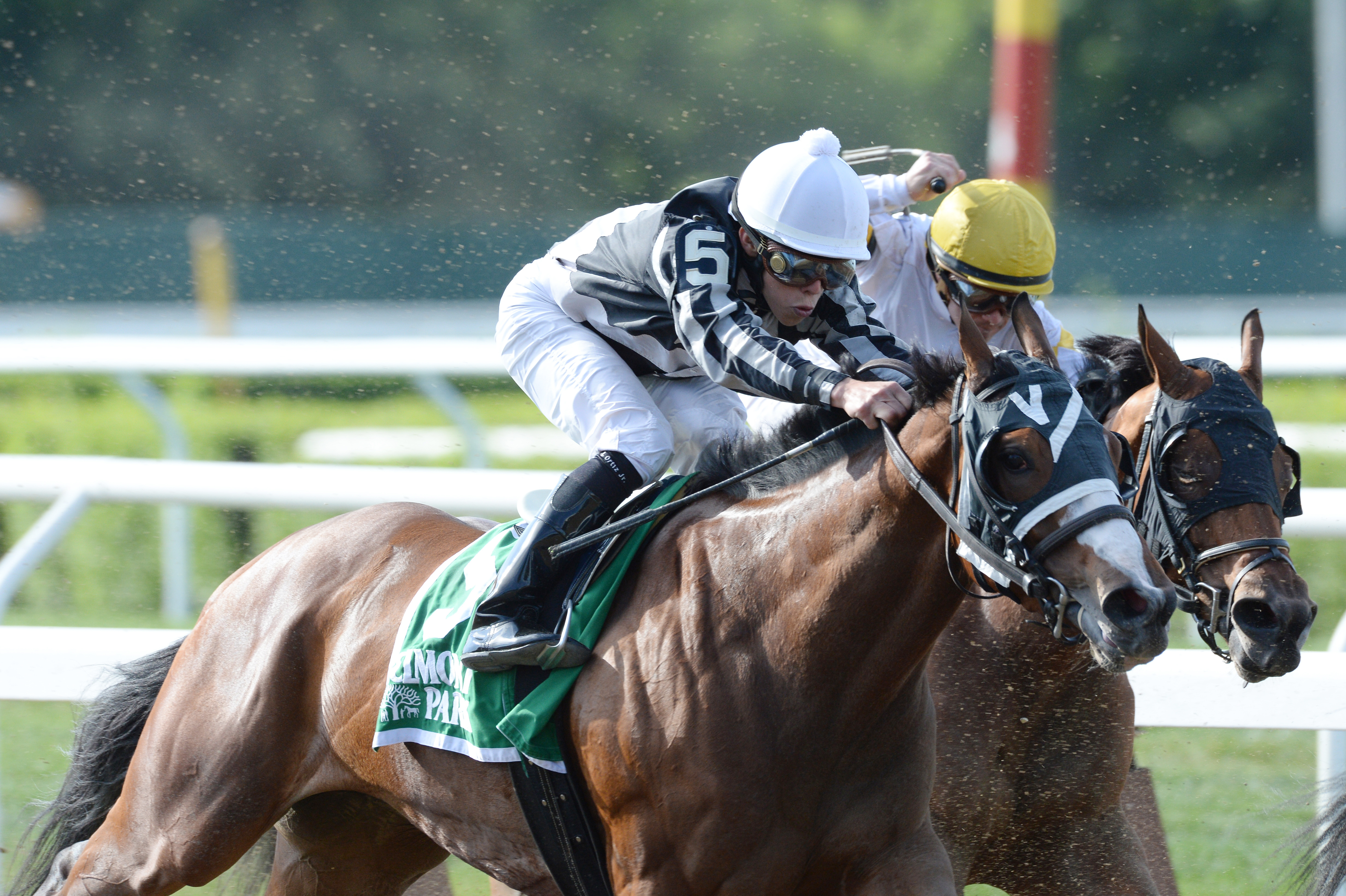 Hot Stones wins the Bed o'Roses Handicap