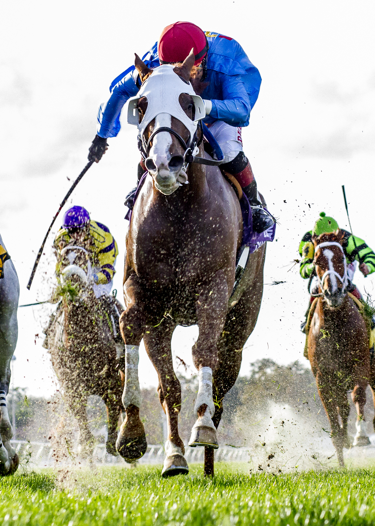 Hot Zapper wins 2015 Louisiana Champions Day Turf
