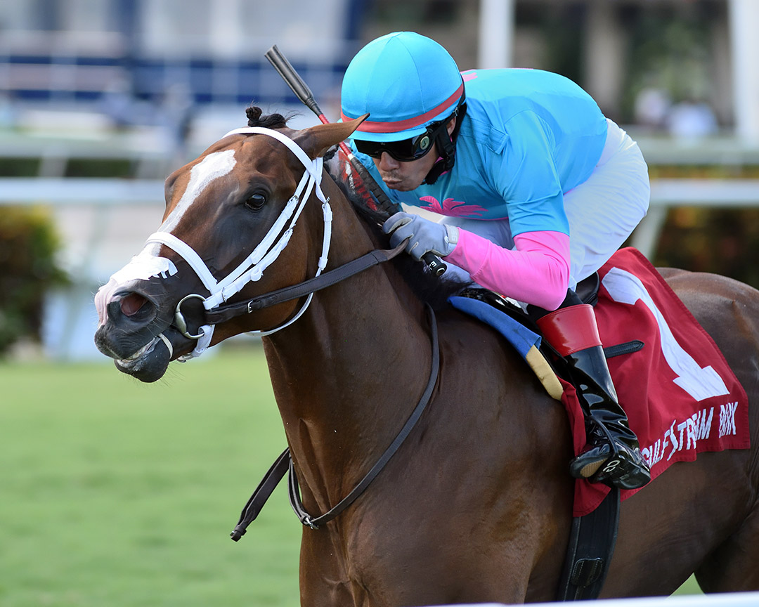 Hot Blooded wins the 2020 Proud Man Stakes at Gulfstream Park