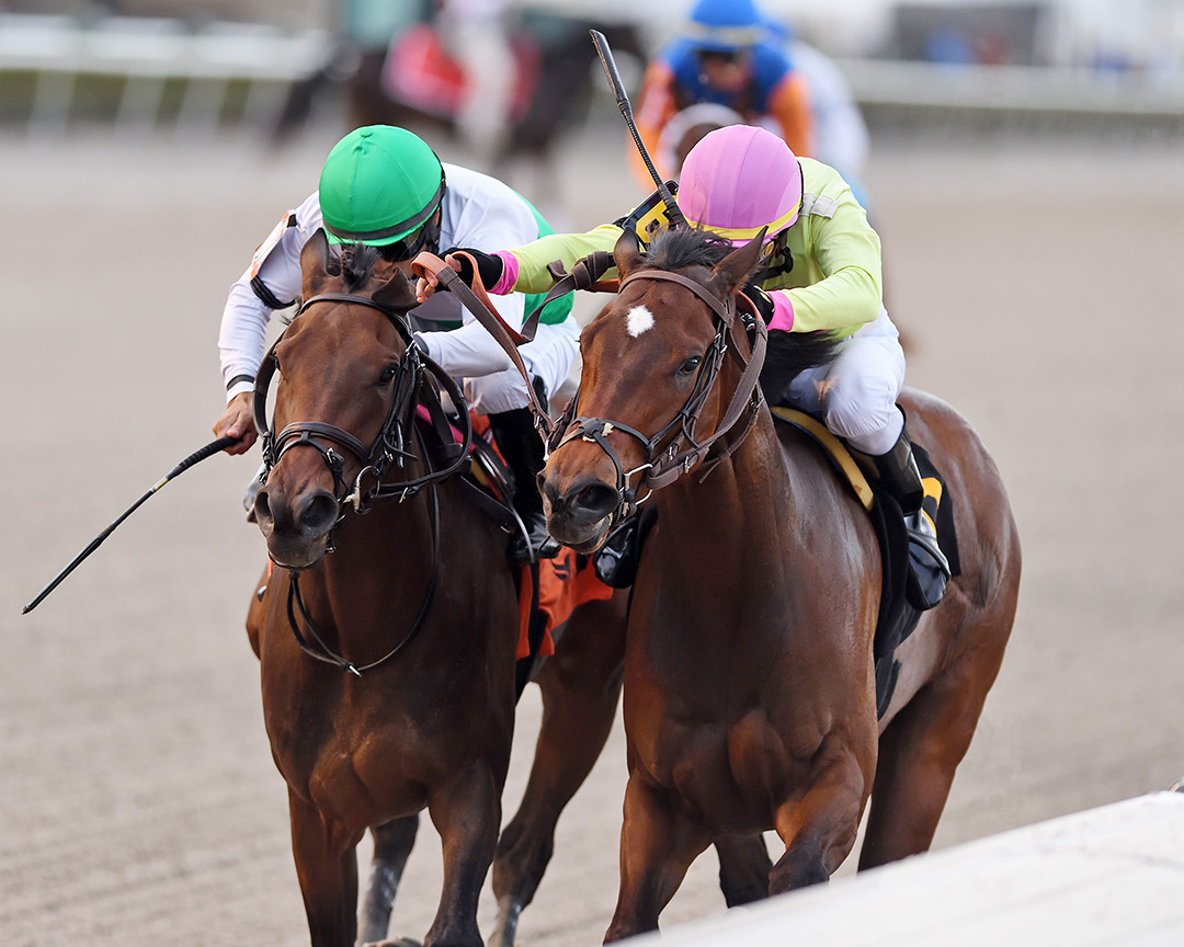 Hot Peppers (right) wins a Feb. 20 allowance at Gulfstream Park