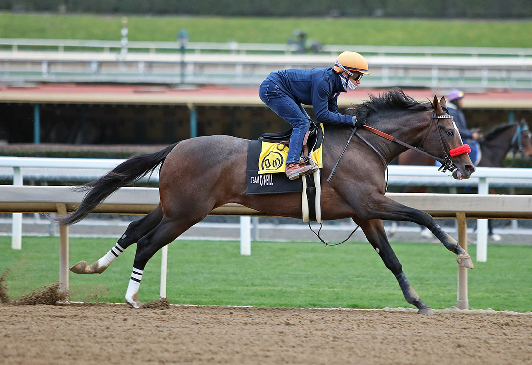 Hot Rod Charlie trains at Santa Anita Park on Jan. 15