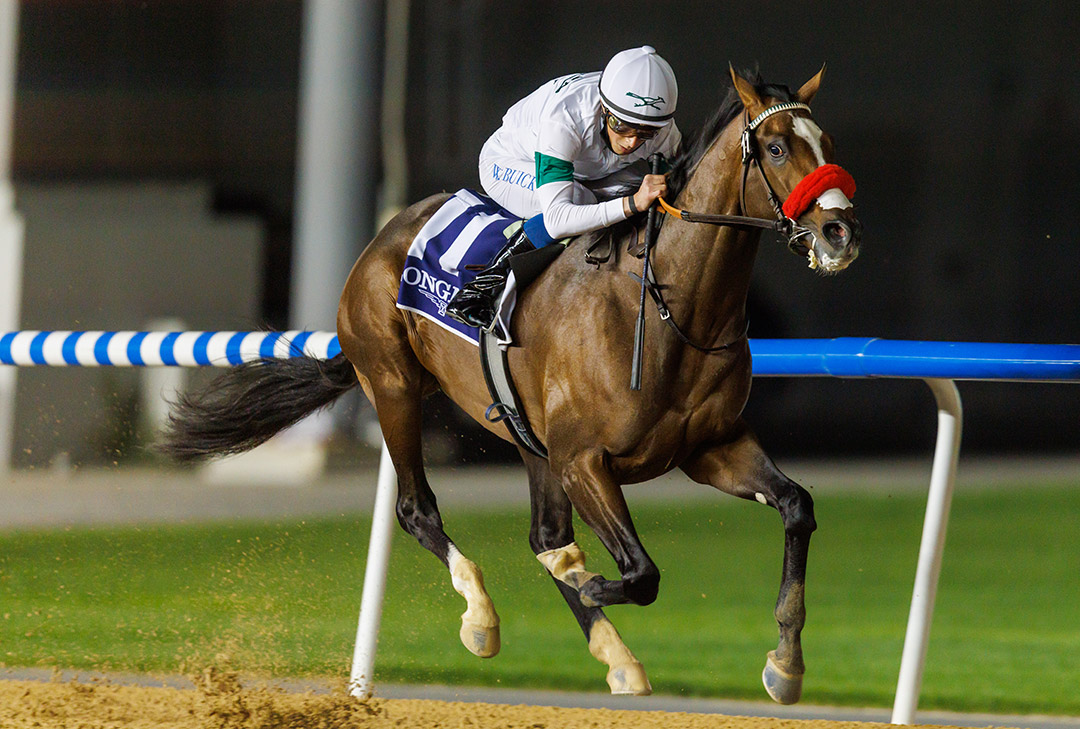 Hot Rod Charlie wins the 2022 Al Maktoum Challenge R2 at Meydan