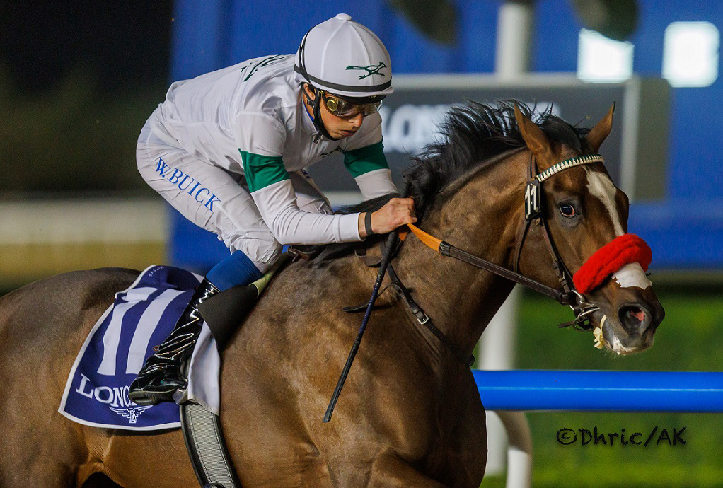 Hot Rod Charlie wins the 2022 Al Maktoum Challenge, R2 at Meydan