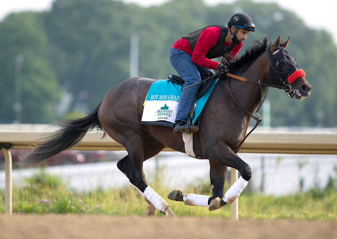 Hot Rod Charlie trains at Belmont Park on June 1