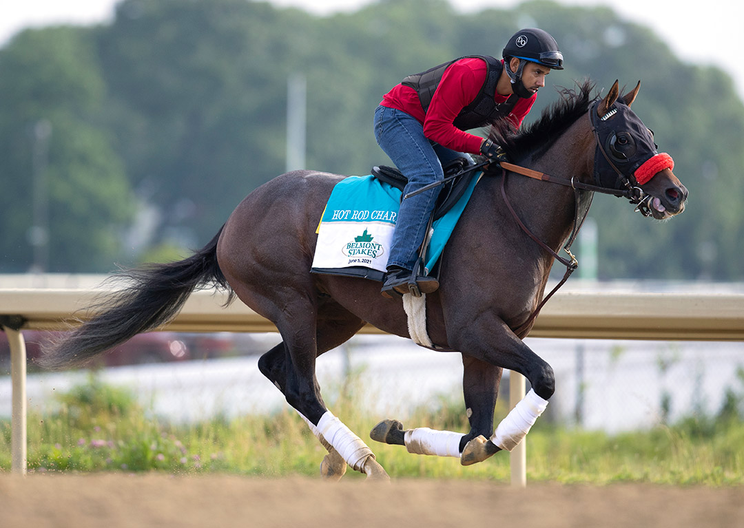 Hot Rod Charlie trains at Belmont Park on June 1
