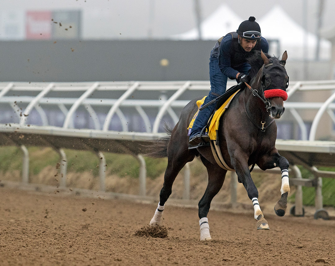 Hot Rod Charlie trains at Del Mar for the Breeders' Cup in November 2021