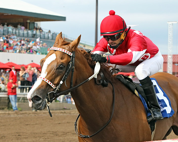 Hot Shot Kid wins the 2019 Minnesota Classic Championship at Canterbury Park