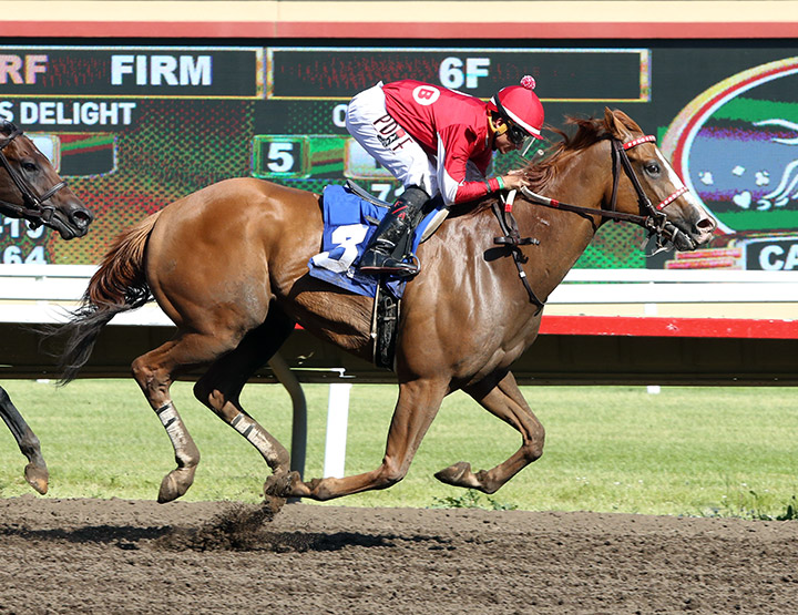 Hot Shot Kid wins the 2020 10,000 Lakes Stakes at Canterbury Park