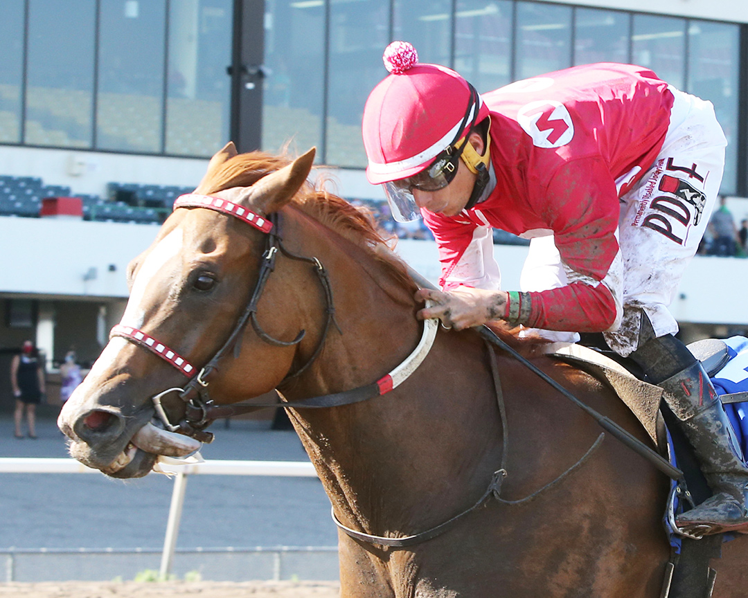 Hot Shot Kid wins the 2020 10,000 Lakes Stakes at Canterbury Park