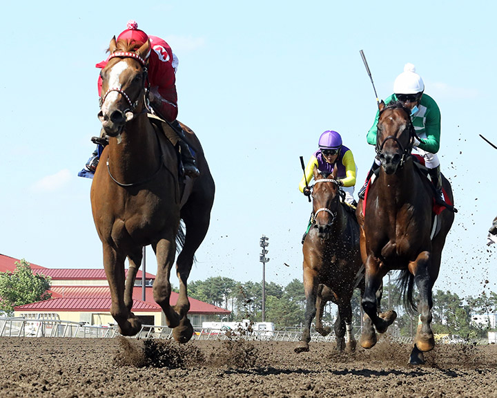 Hot Shot Kid wins the 2020 10,000 Lakes Stakes at Canterbury Park