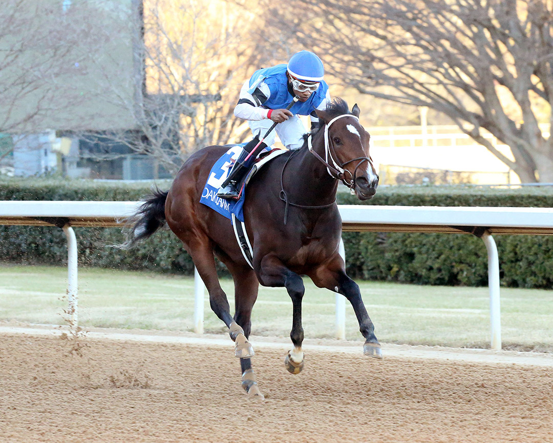 Hot and Sultry wins a Jan. 23 maiden race at Oaklawn Park