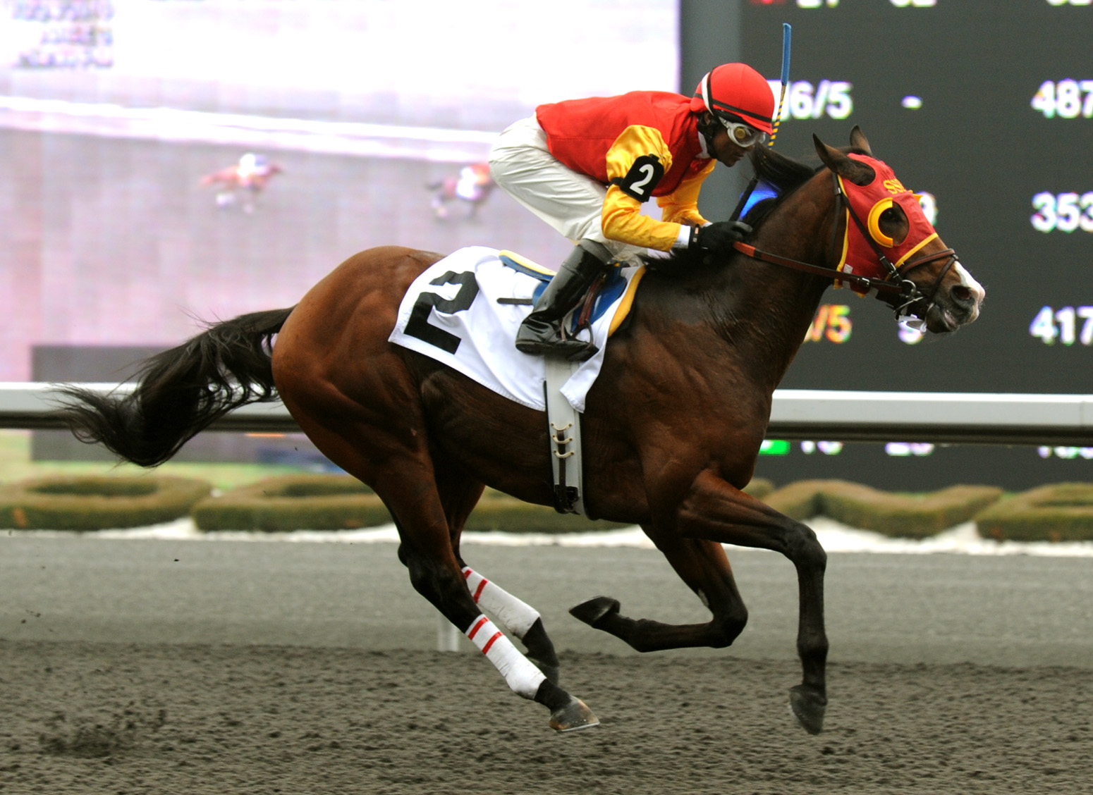 Hotep, 2010 Mobil Stakes