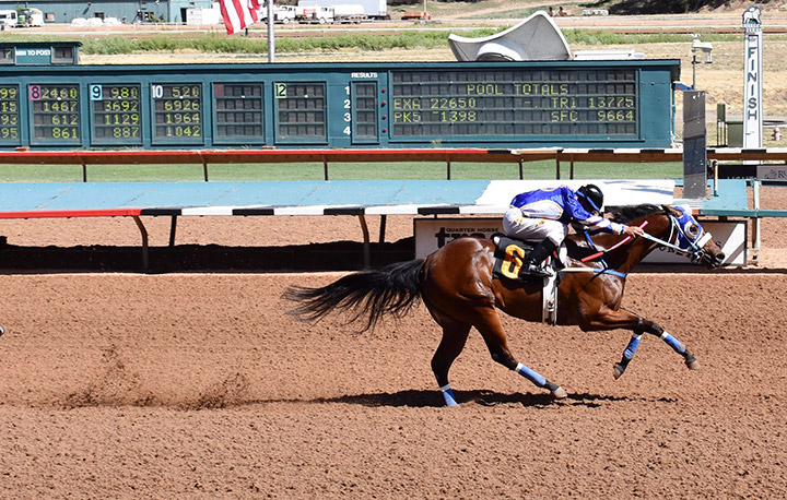 Hotsempting wins a Ruidoso Derby Trial at Ruidoso Downs on May 24