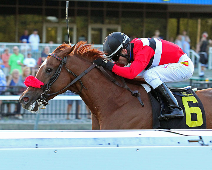 Hotshot Anna wins the 2019 Satin and Lace Stakes at Presque Isle Downs
