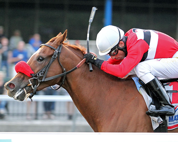 Hotshot Anna wins the 2018 Satin and Lace Stakes at Presque Isle Downs