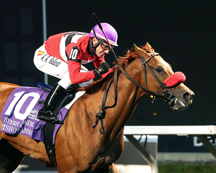 Hotshot Anna wins the 2019 Presque Isle Masters Stakes