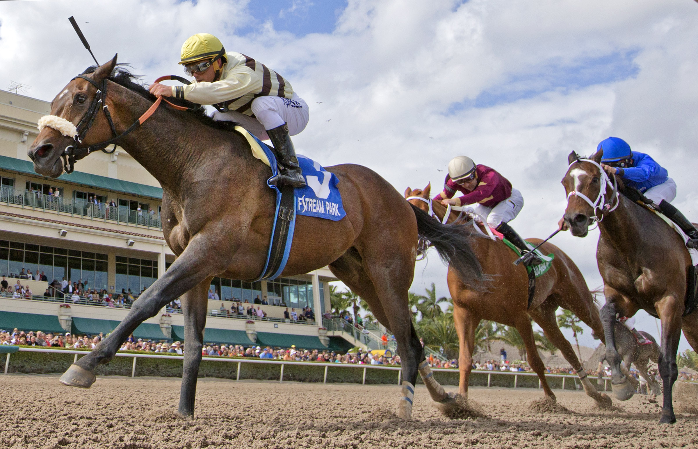 House Rules wins 2015 Rampart