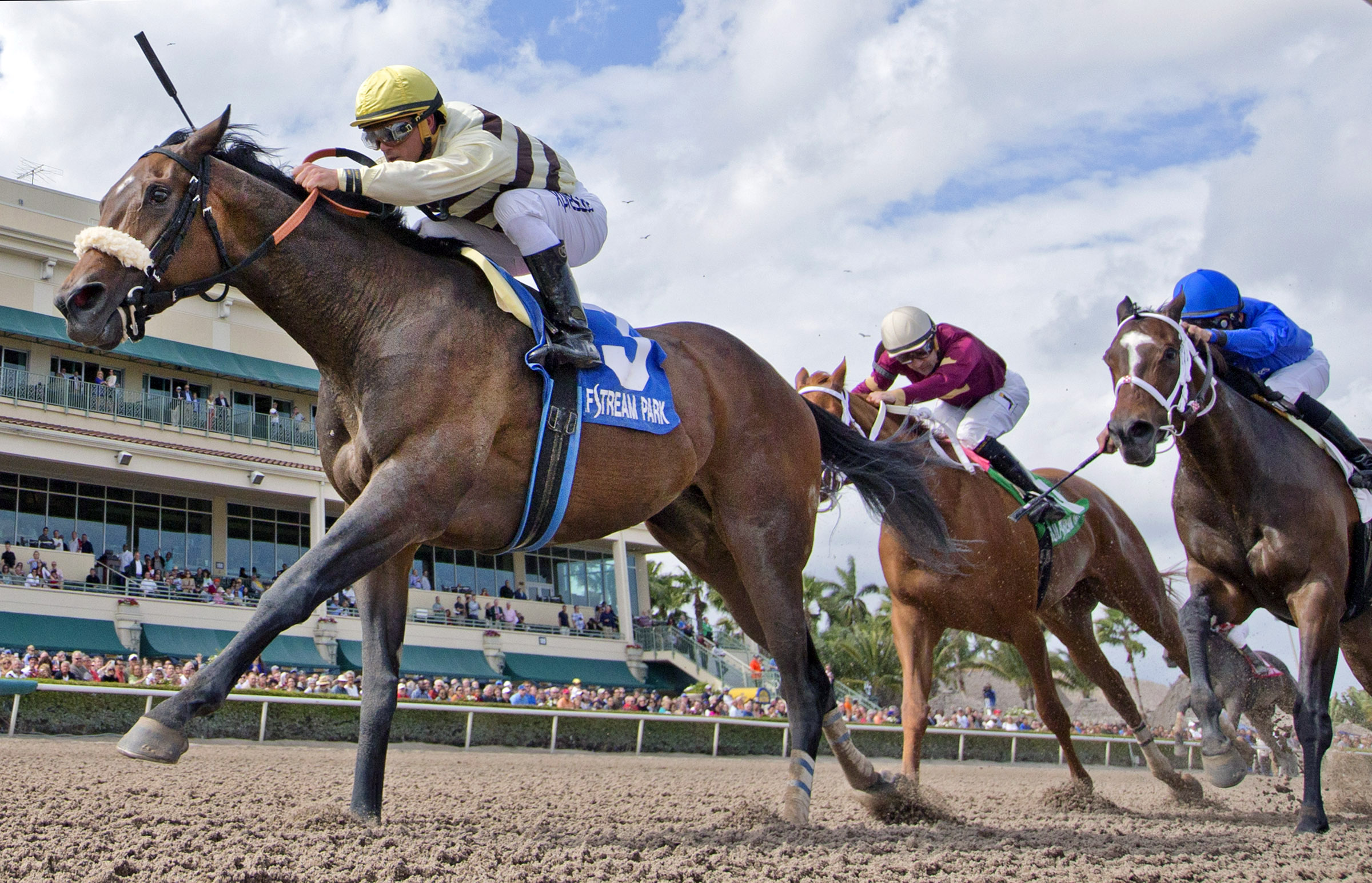 House Rules wins the Rampart Stakes