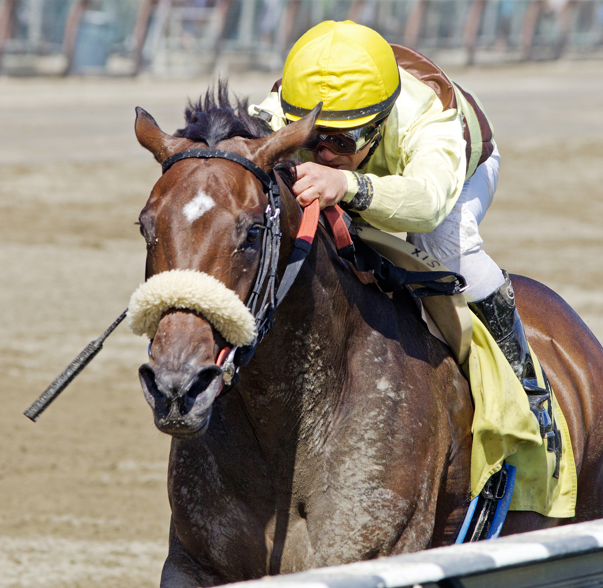 House Rules wins an allowance on Aug. 17