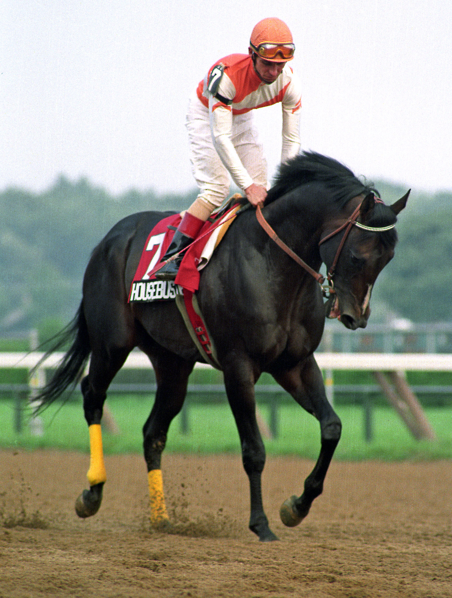 Housebuster under Craig Perret