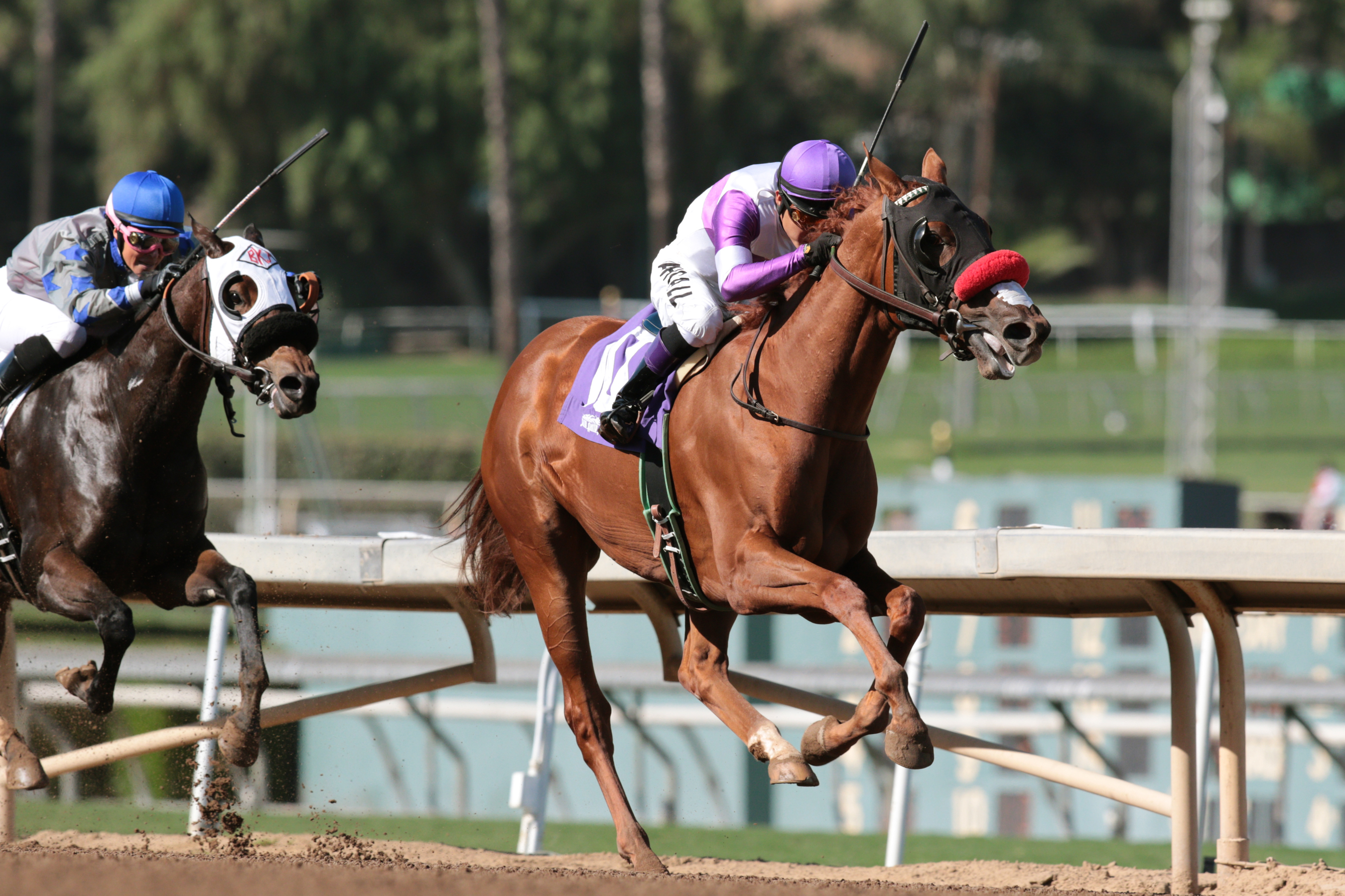 How About Zero wins the Golden State Juvenile Fillies Stakes