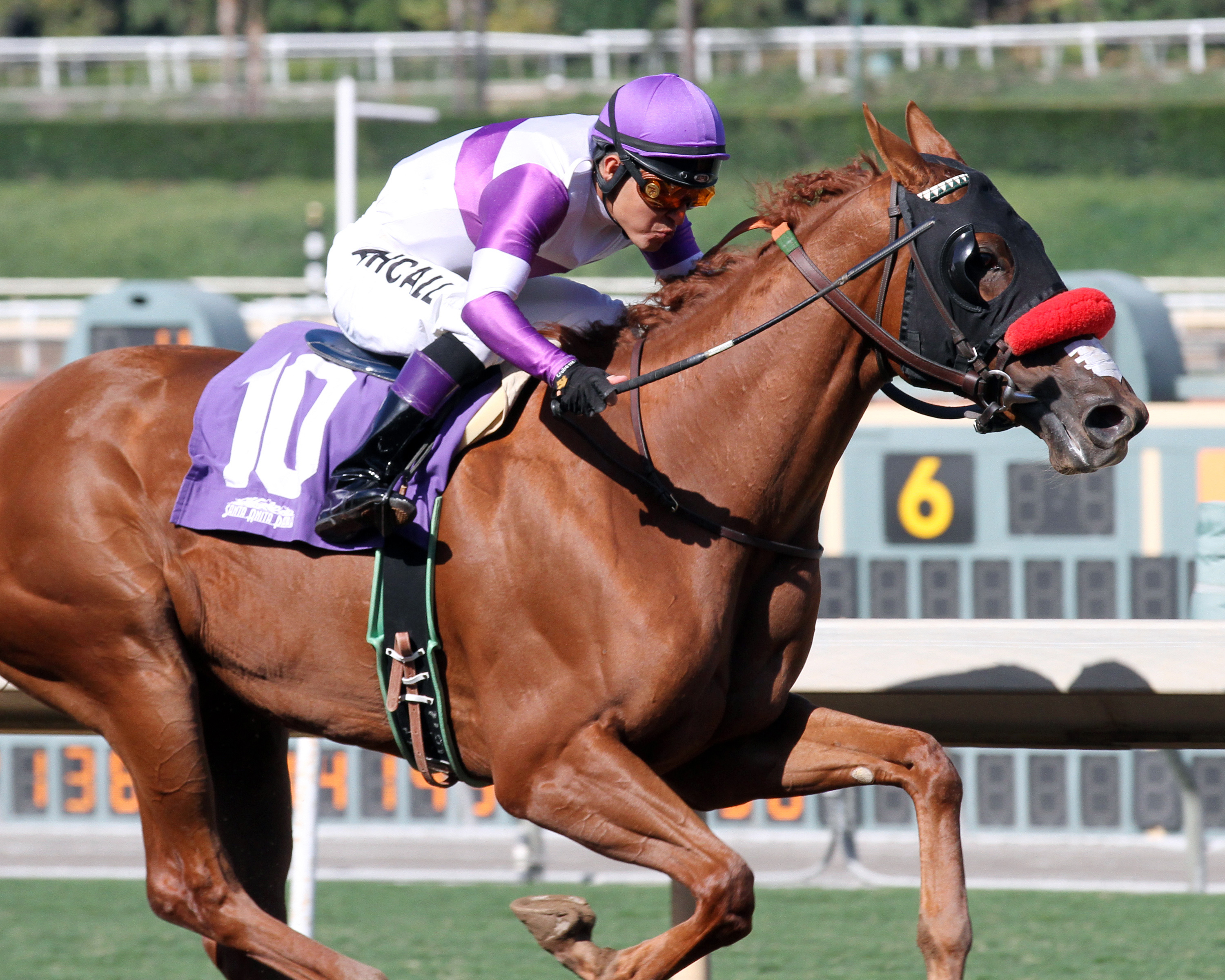How About Zero wins the Golden State Juvenile Fillies Stakes