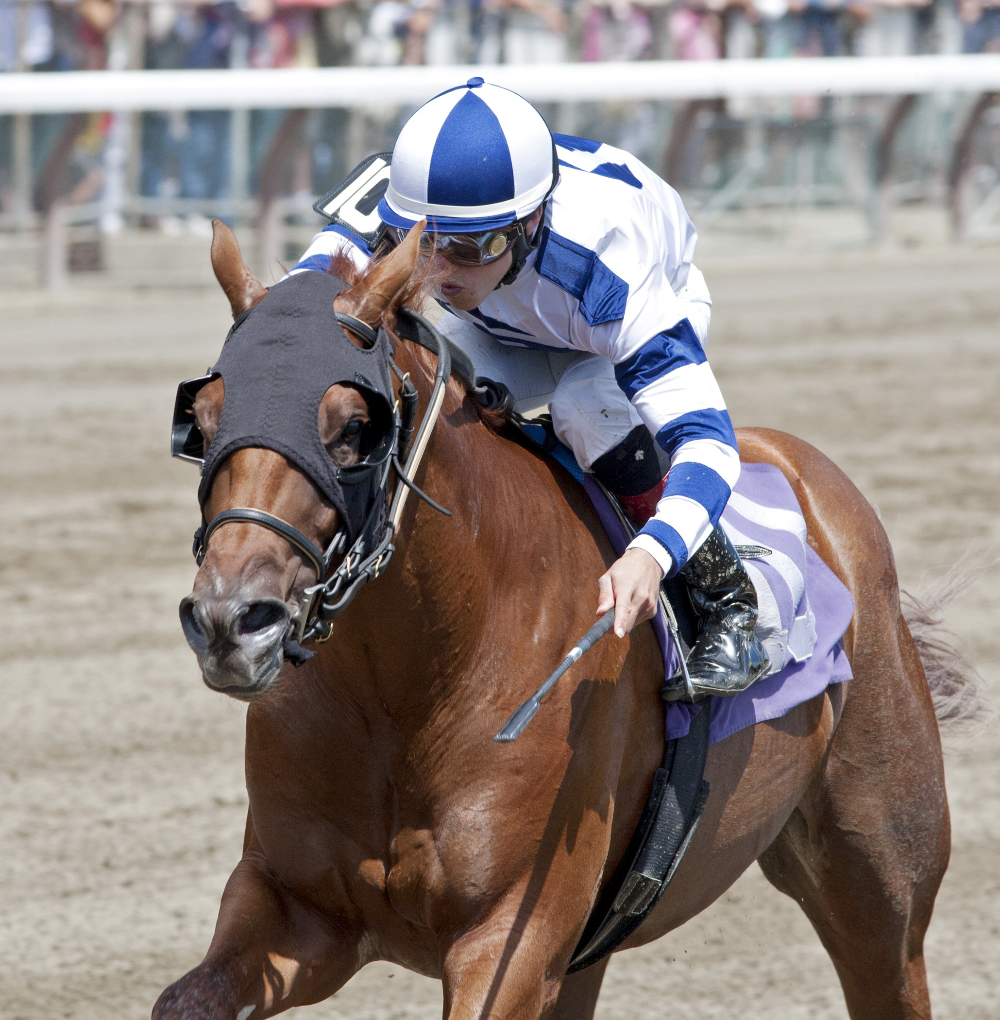 Howaboutwe maiden win