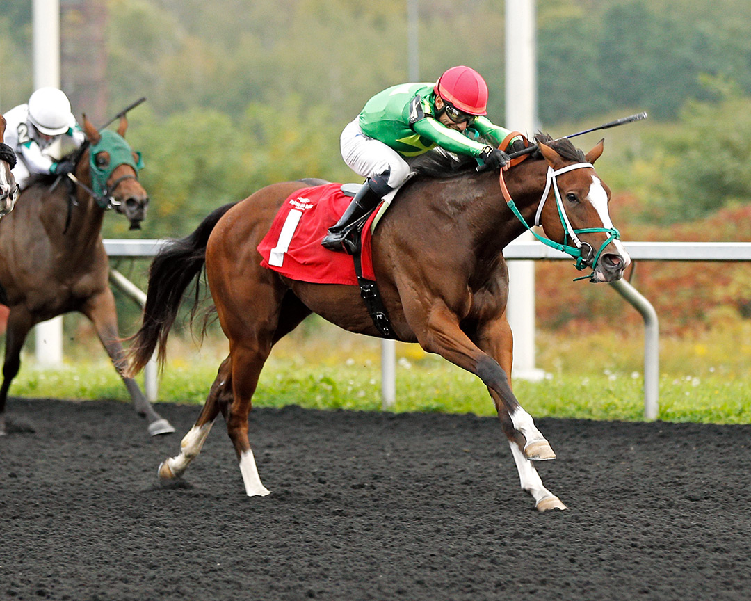 Howdyoumakeurmoney wins the 2021 Presque Isle Debutante Stakes at Presque Isle Downs
