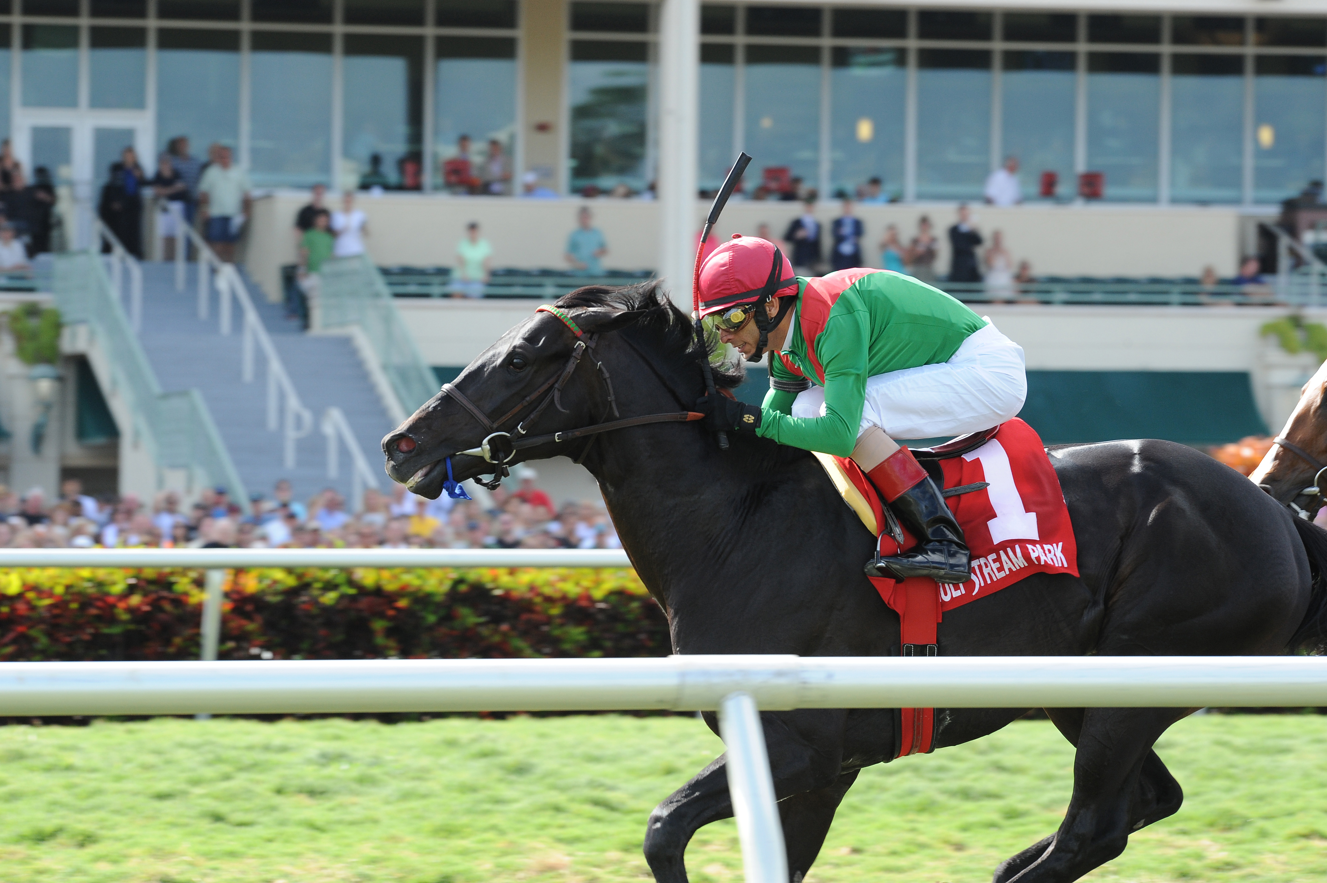 Howe Great/Palm Beach