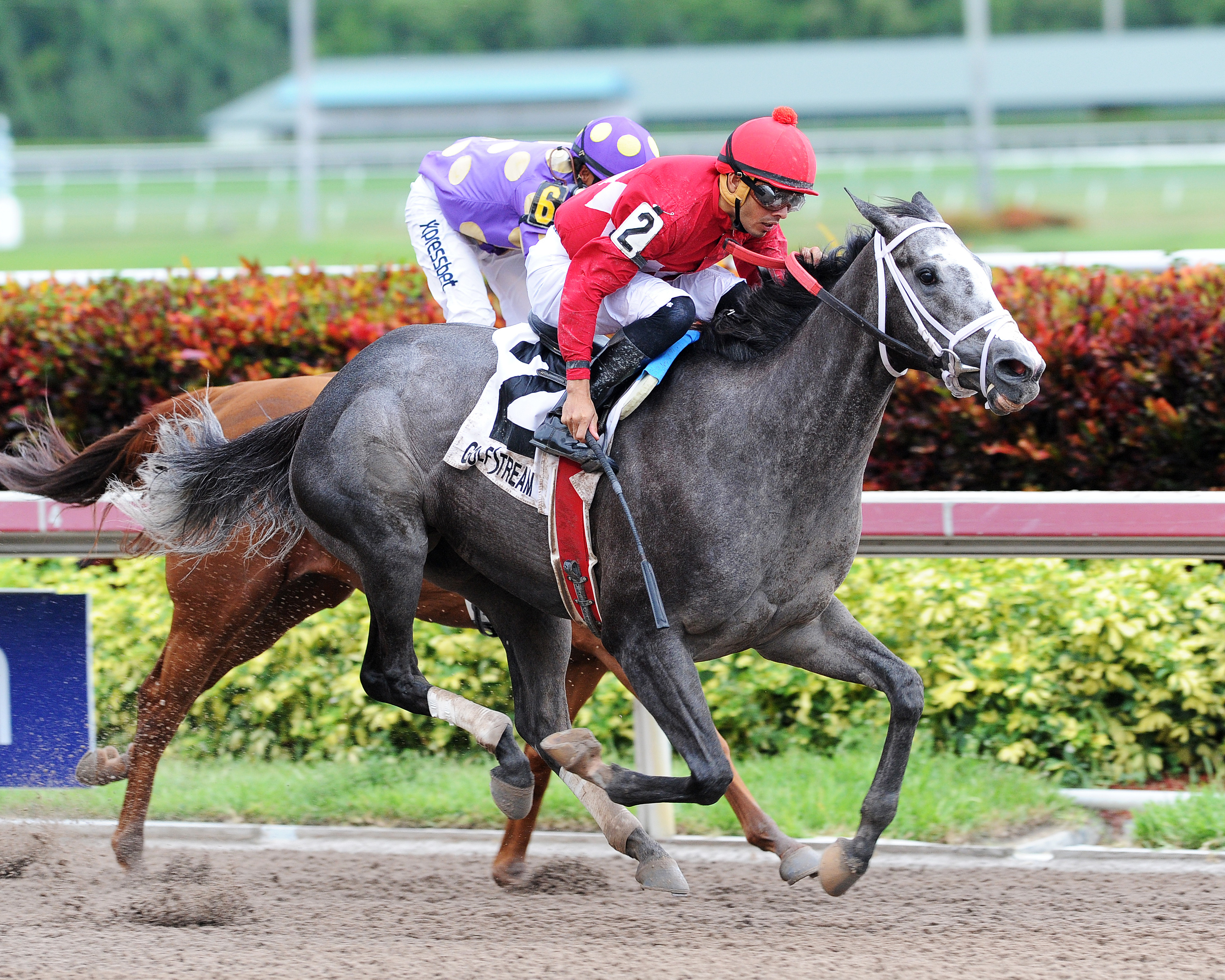 Huasca wins the Tangelo Handicap