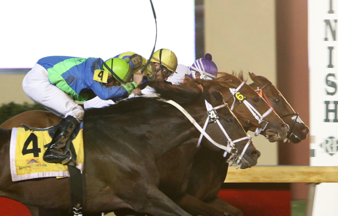 Humble Smarty (inside), Herecomesbert (6), Native Ruler (4)