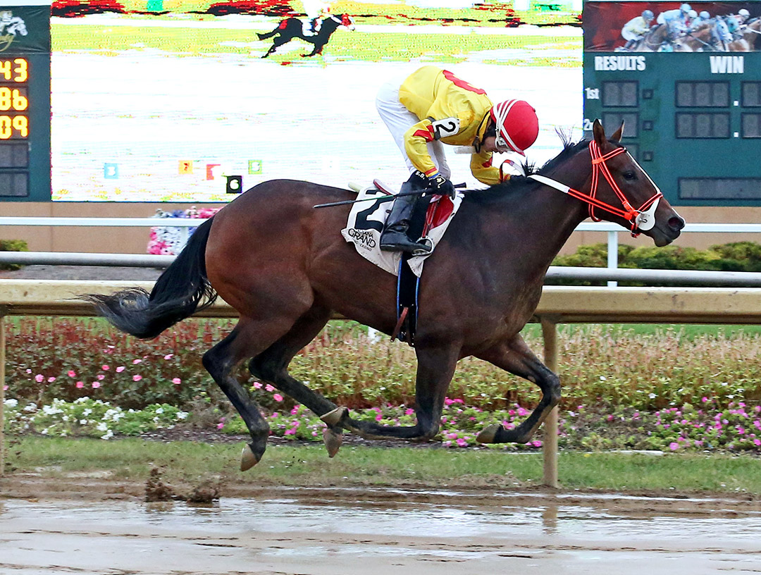 Hungarian Princess wins the 2020 Indiana Stallion Fillies Stakes at Indiana Grand