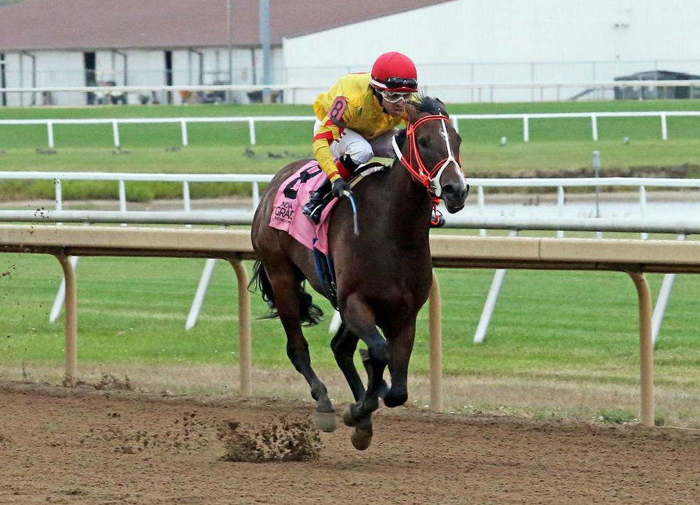 Hungarian Princess wins the 2020 City of Anderson Stakes at Indiana Grand