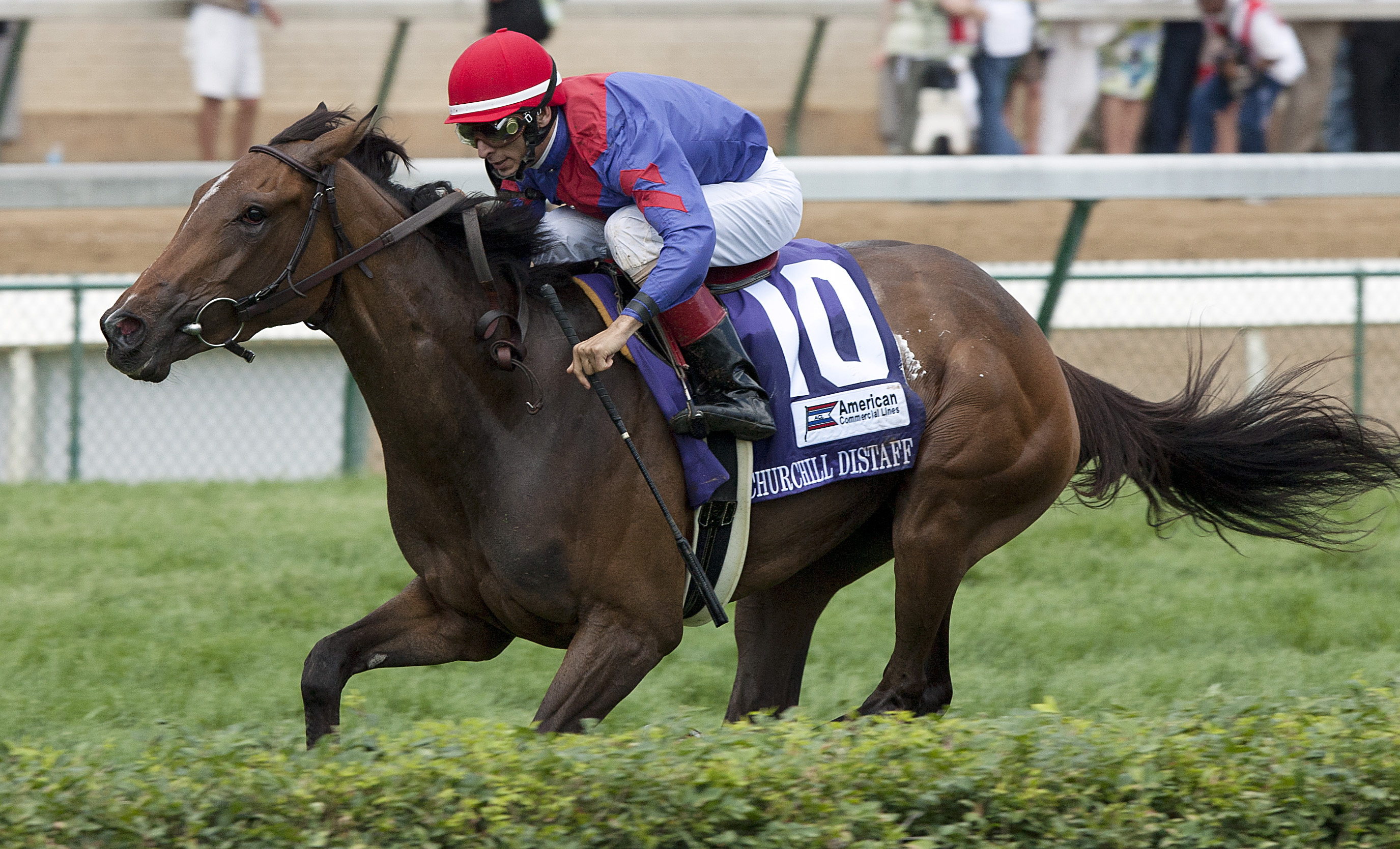 Hungry Island/Churchill Distaff Turf Mile