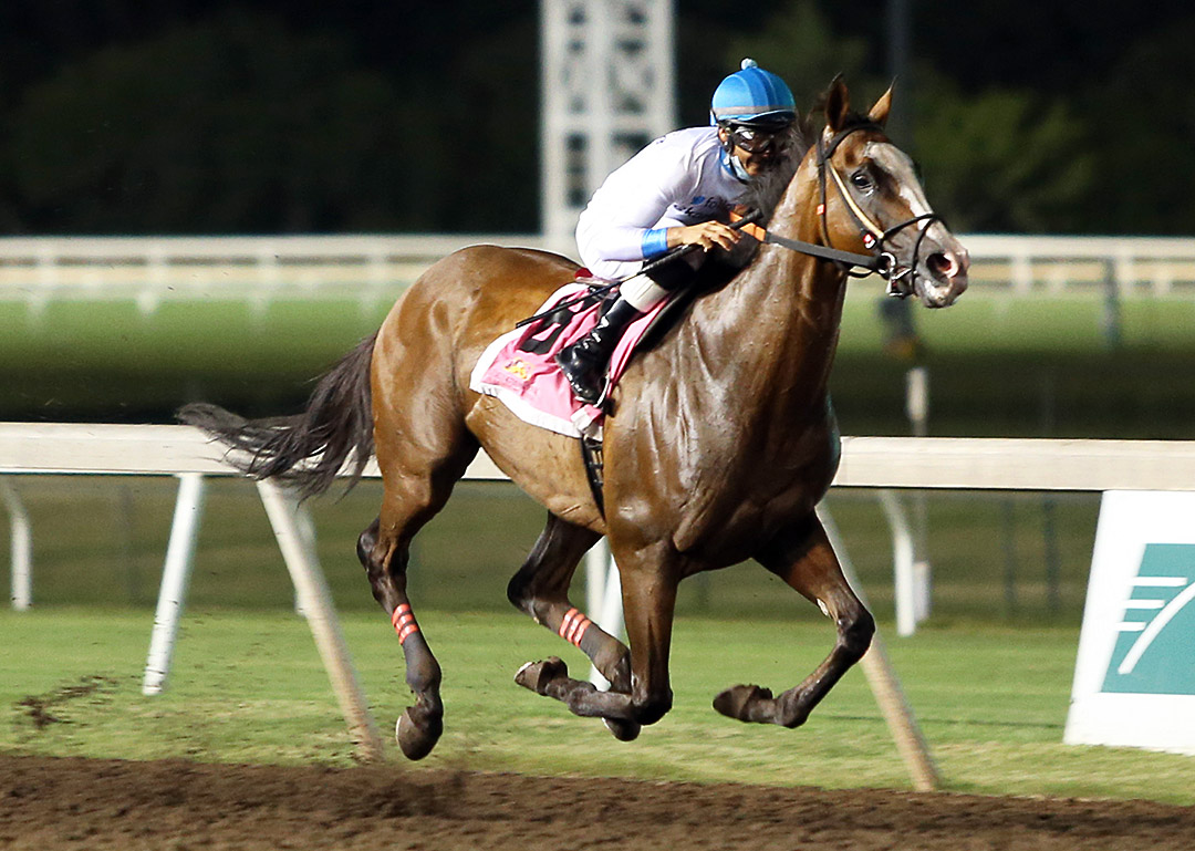 Hunka Burning Love wins the 2020 Governor's Cup at Remington Park