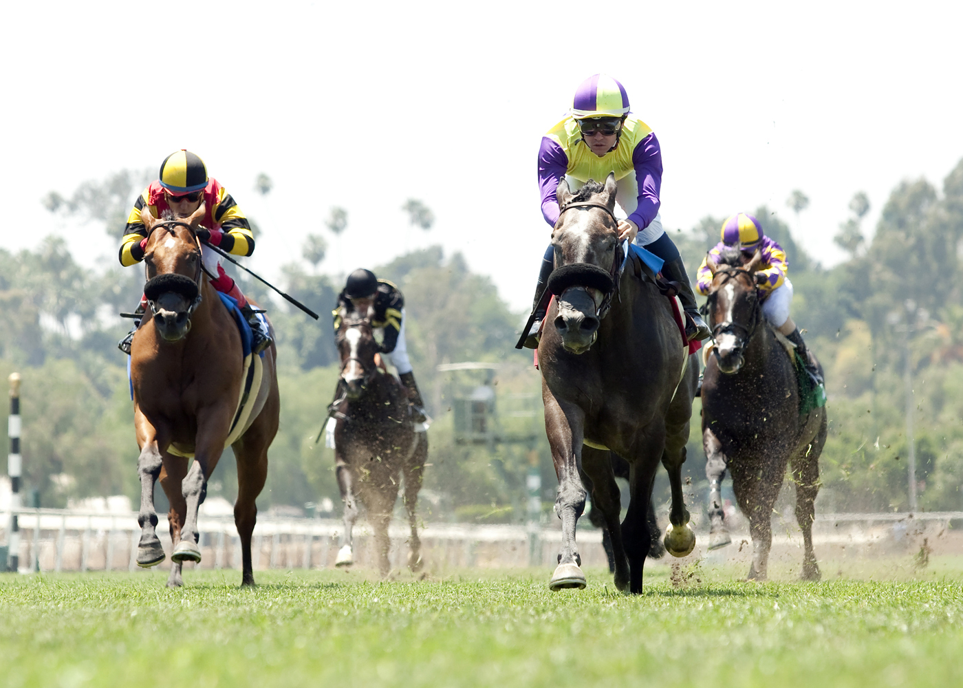Hunt wins the Siren Lure Stakes