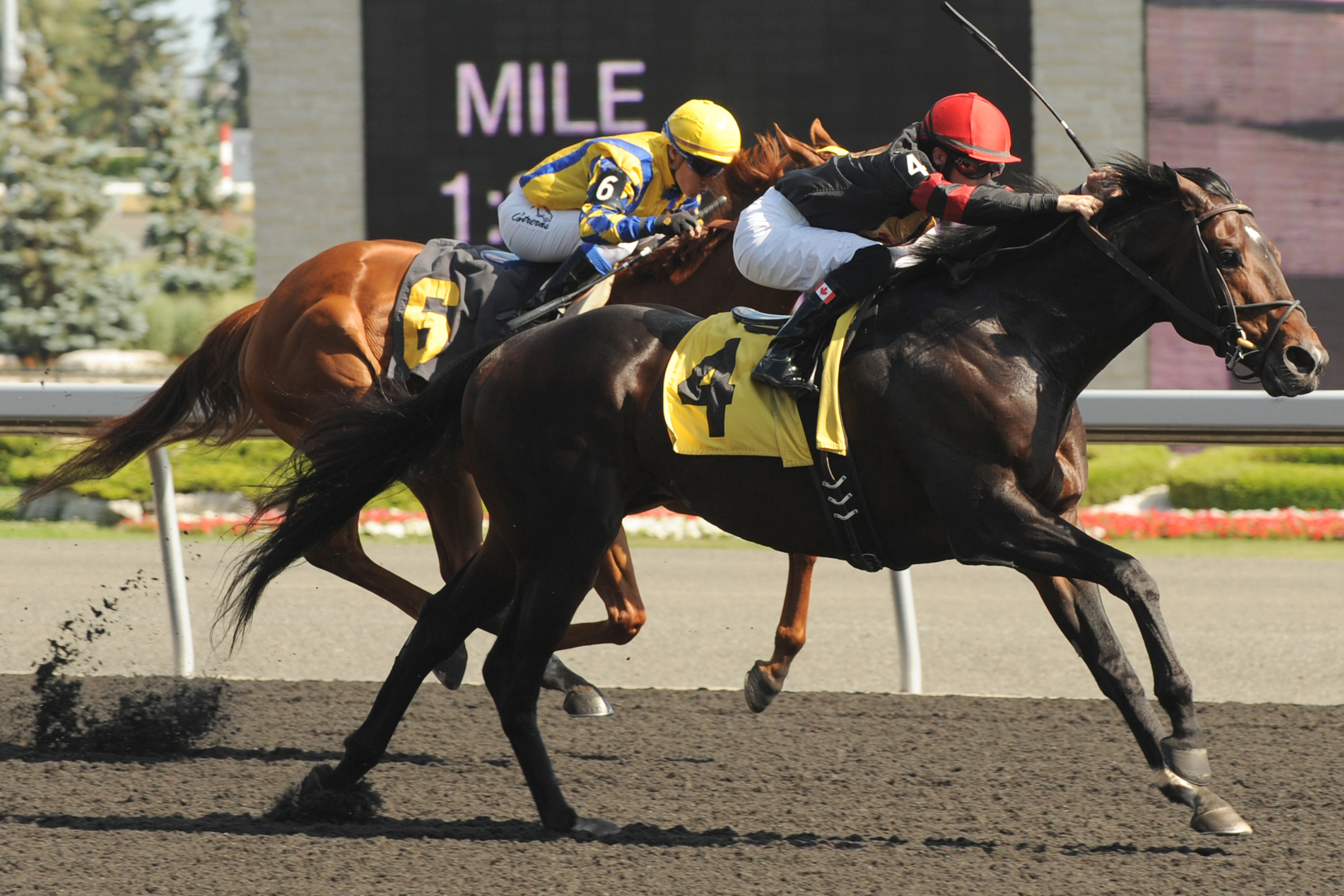 Hunters Bay wins the 2012 Dominion Day Stakes