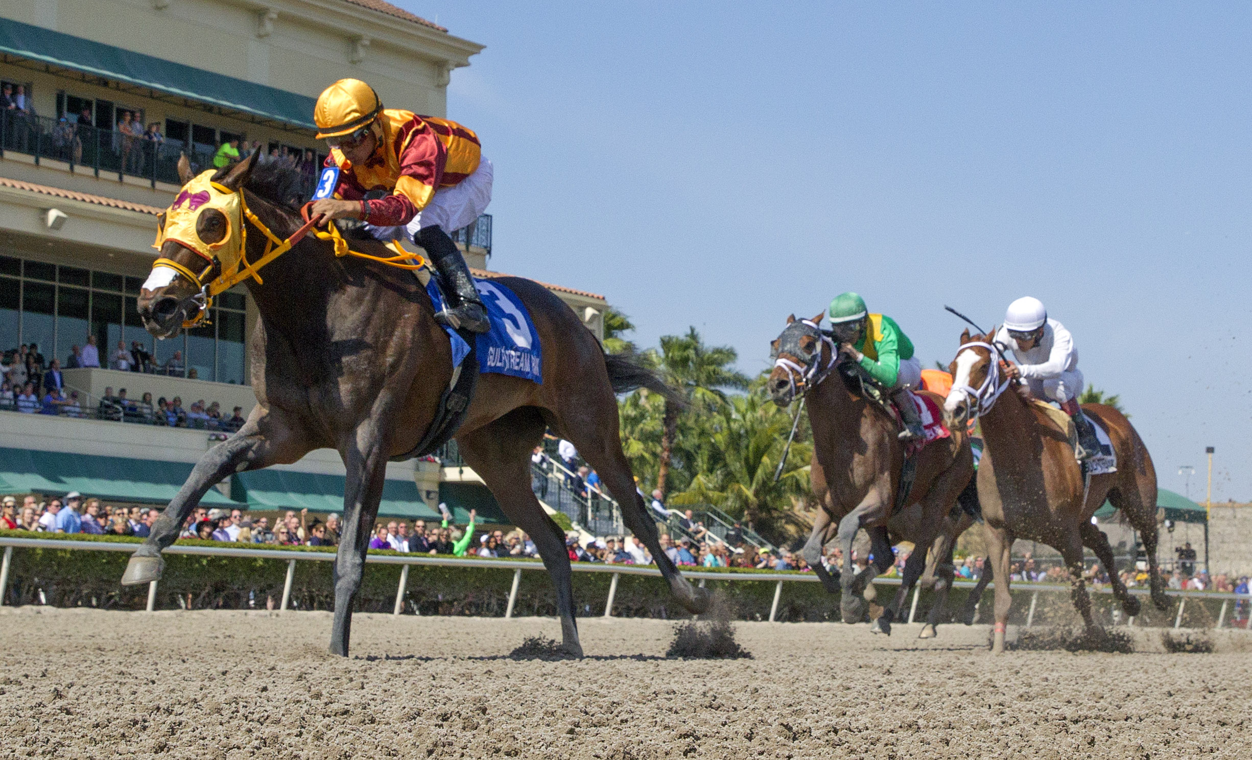 Curlin's Approval