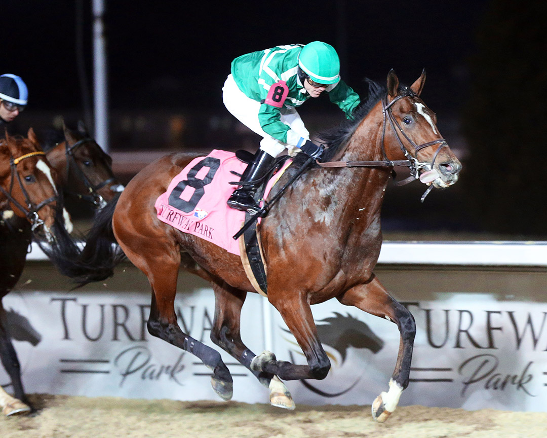 Hush of a Storm wins the 2021 John Battaglia Memorial Stakes at Turfway Park