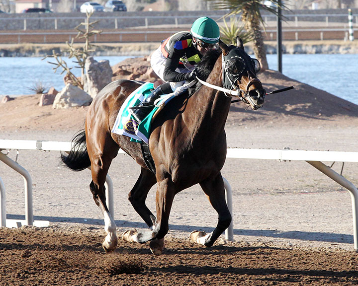 Hustle Up wins the 2019 Mine That Bird Derby at Sunland Park