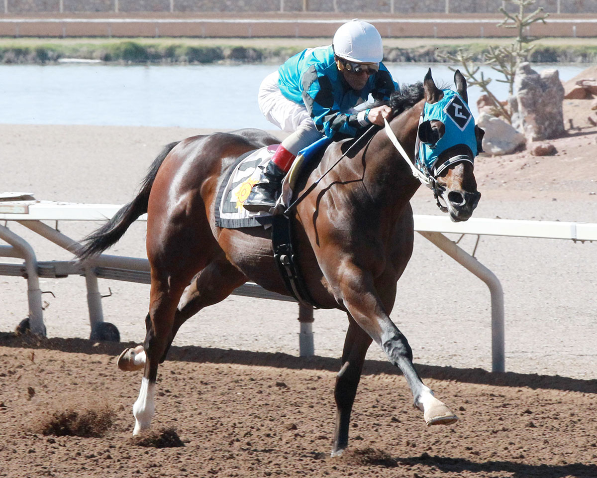 Hustle Up wins the Copper Top Futurity