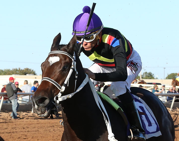 Hustle Up wins the 2019 New Mexico Classic Cup at Zia Park