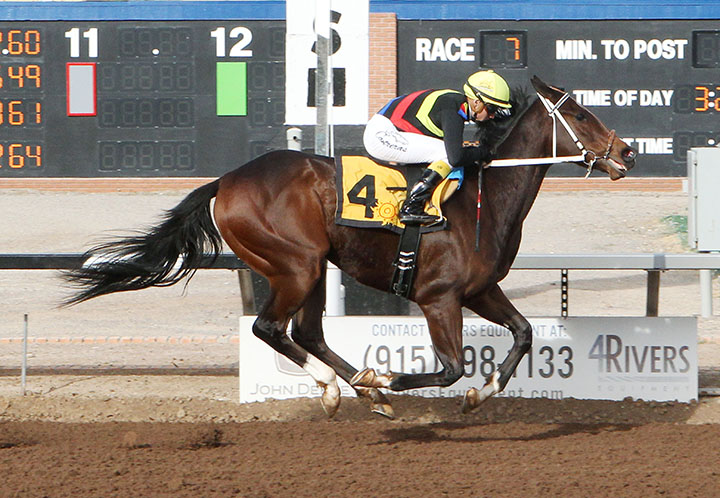 Hustle Up wins the 2019 Red Hedeman Mile