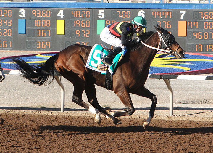 Hustle Up wins the 2019 Mine That Bird Derby