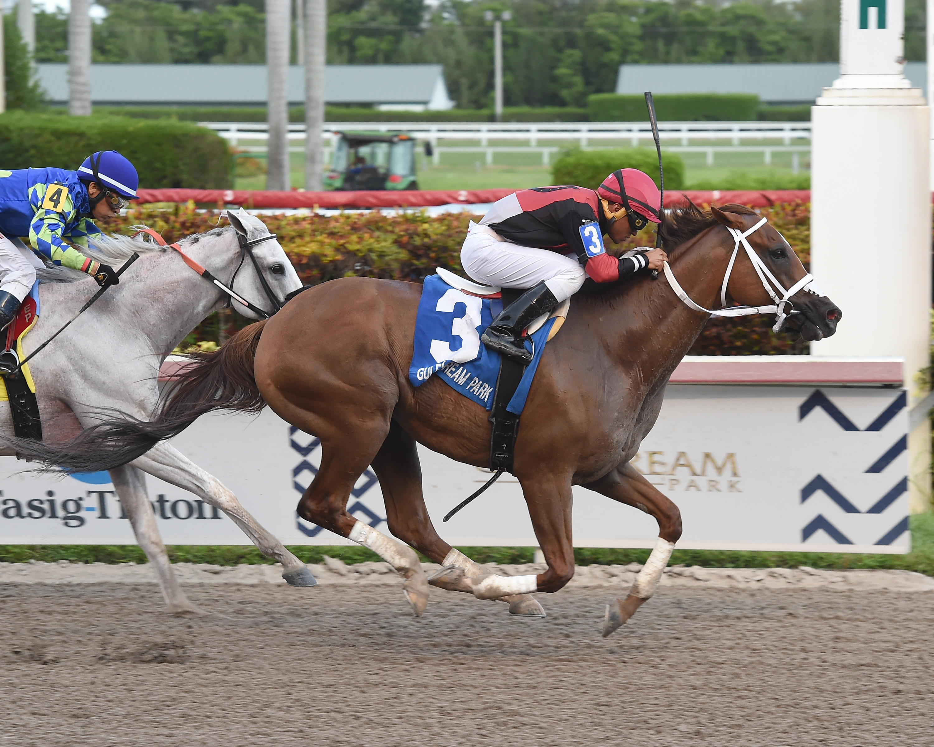 Hy Riverside wins the 2019 Big Red Stakes