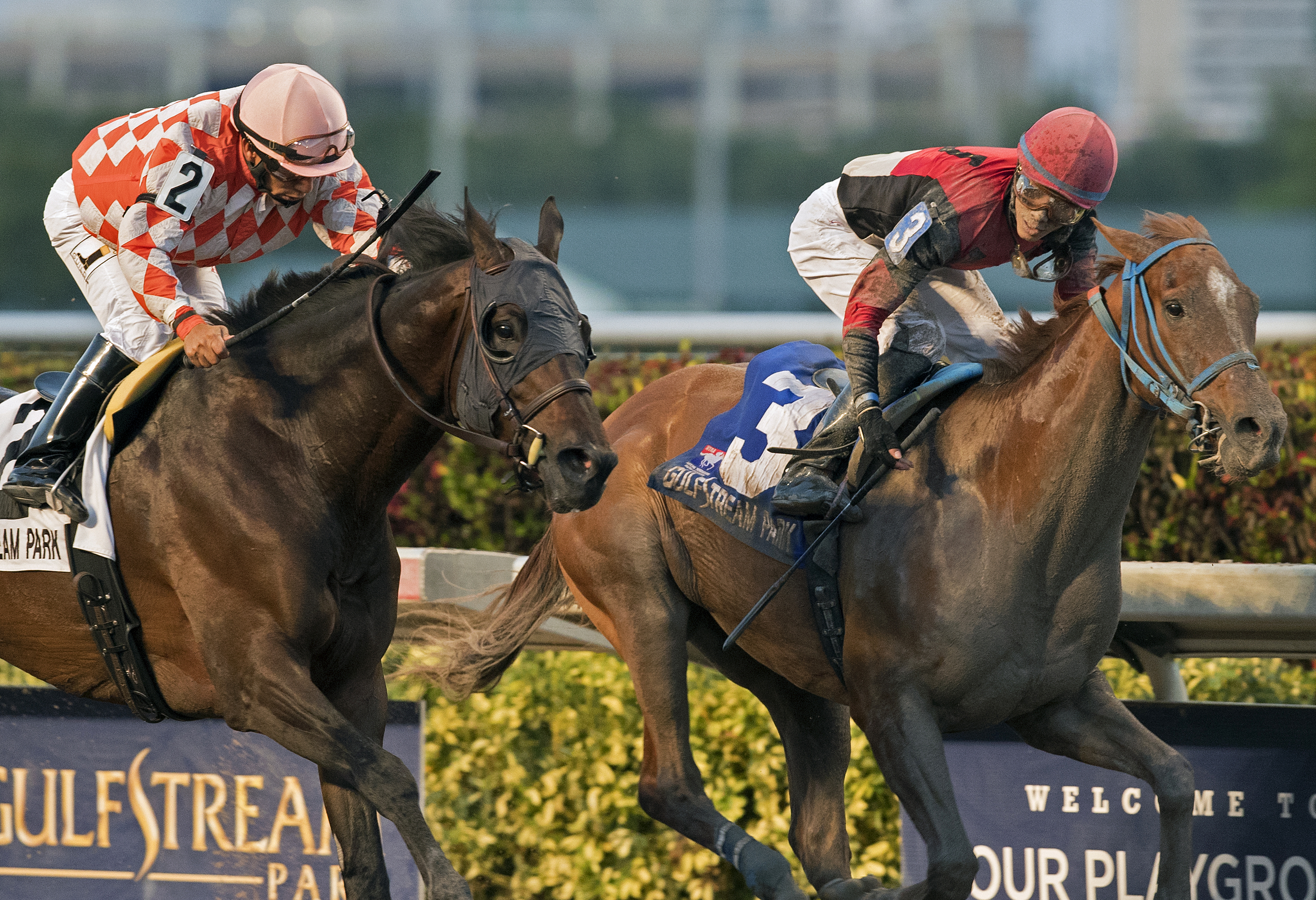 Nauset Beach finishes second in the Sunshine Millions Classic