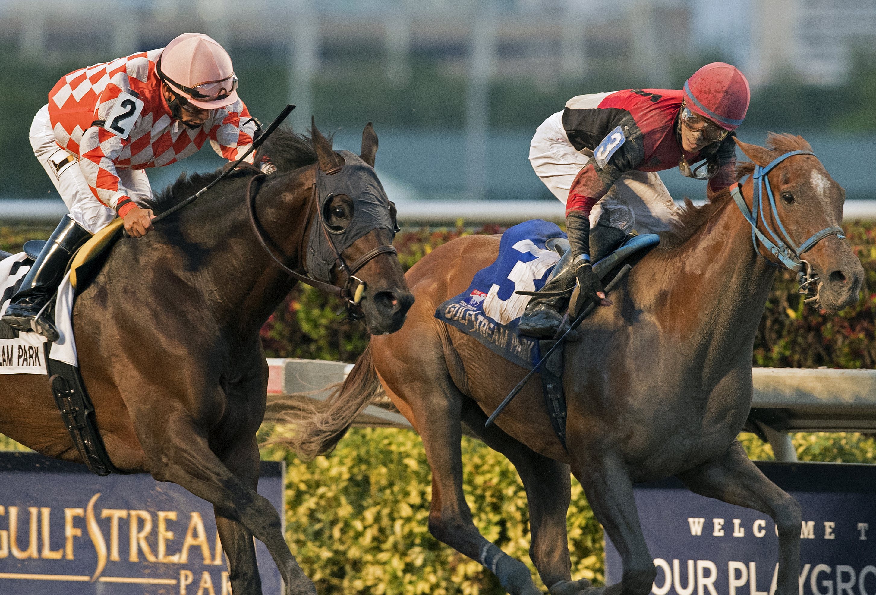 Nauset Beach finishes second to Hy Riverside in the Sunshine Millions Classic Stakes