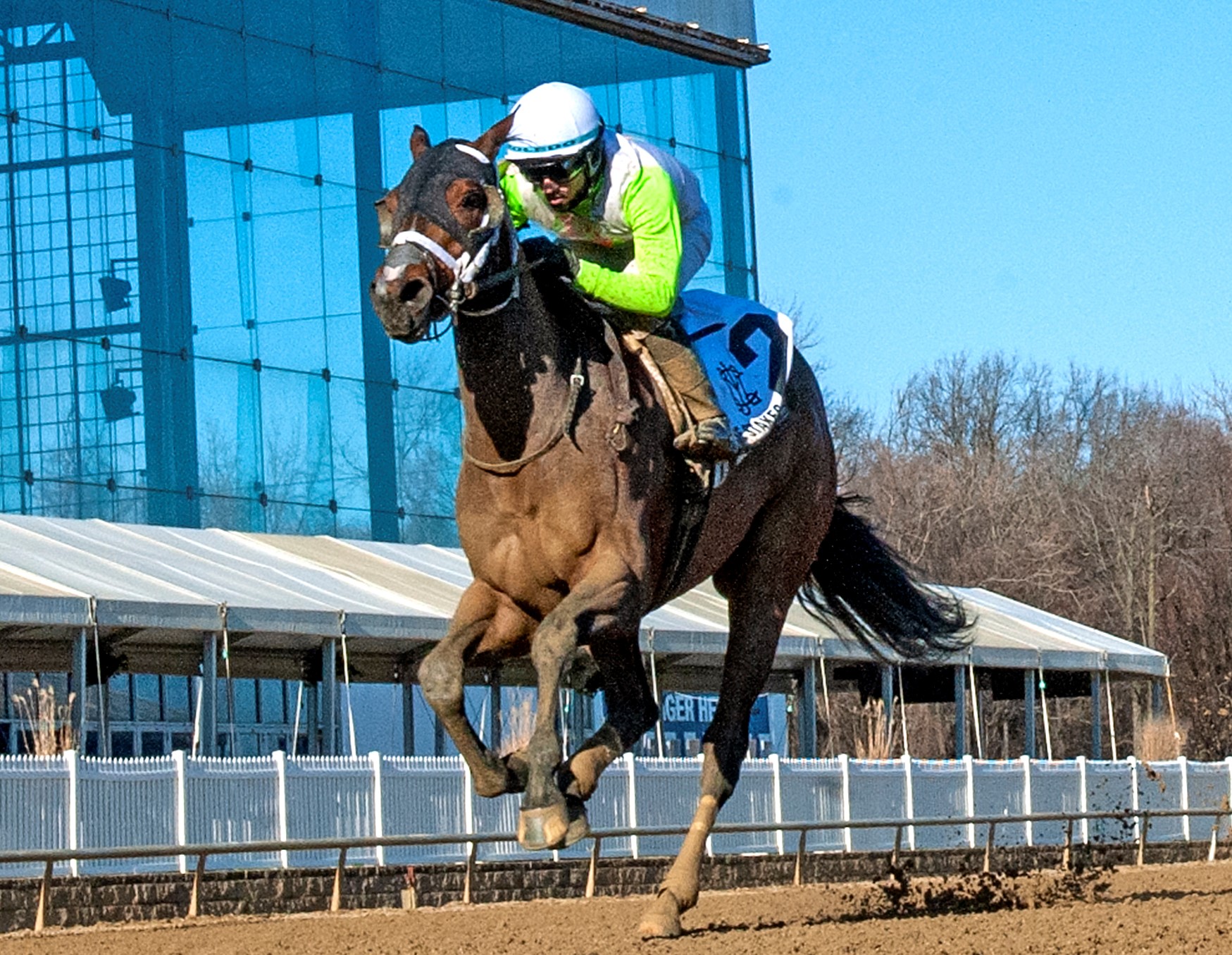 Hybrid Eclipse wins Nellie Morse at LRL Feb 18 2023