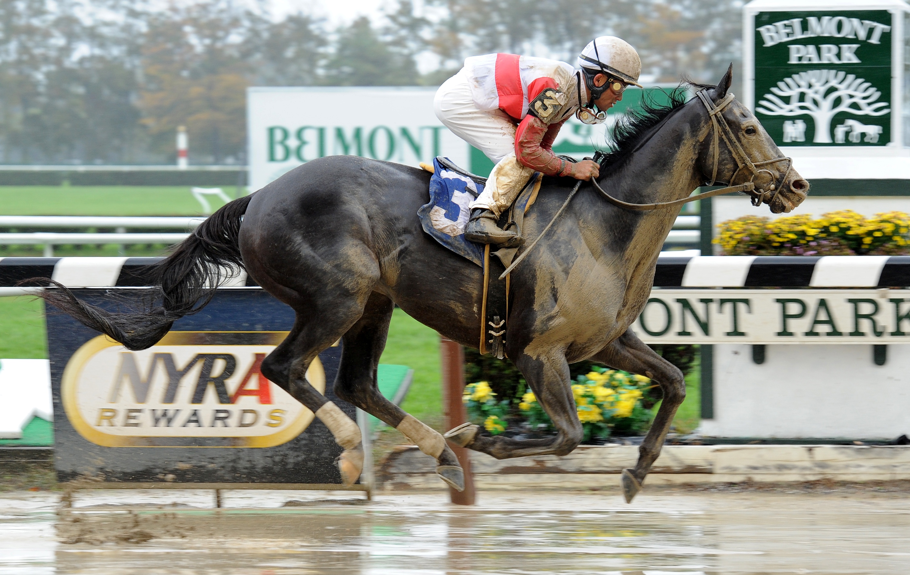 Hymn Book, Frank Martin Stakes
